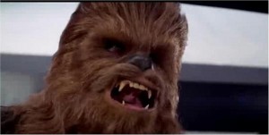 Chewbacca