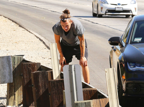 Photo of harry styles puking on side of freeway