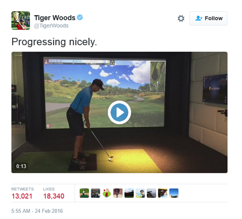 Tiger Woods Video 2